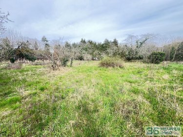 Terrain (45200)